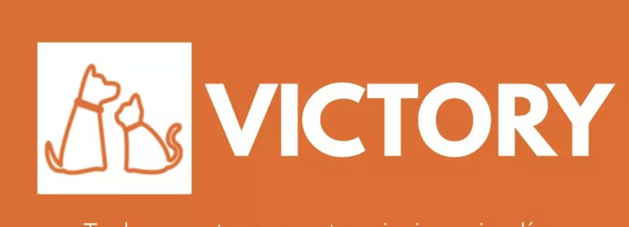 Victory